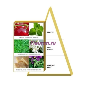 Отдушка Чайная церемония арт3673