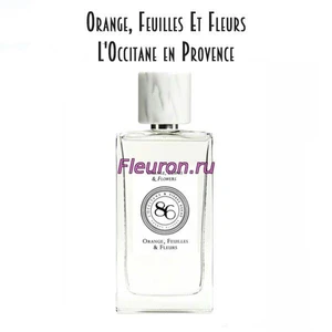 Отдушка Orange, Feuilles Et Fleurs арт5519W/M