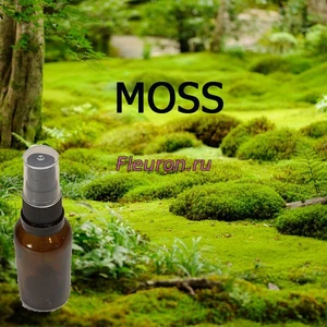 Отдушка MOSS 2 Мох арт3823W/M