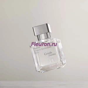 Отдушка Gentle Fluidity Silver арт3976W/M