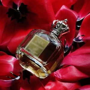 Отдушка 24K Supreme Rouge арт2969W