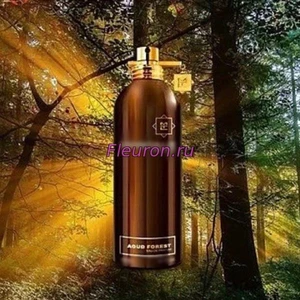 Отдушка Aoud Forest 1120W/M