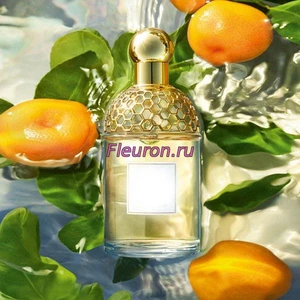 Отдушка Aqua Allegoria Mandarine Basilic арт80W