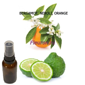 Отдушка Bergamot Neroli Orange арт272W/M