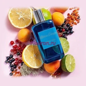 Отдушка Cedre Atlas арт4057W/M