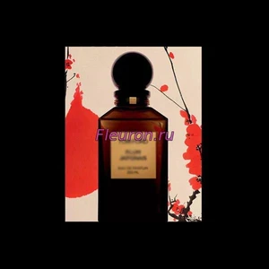 Отдушка Plum Japonais арт3320W