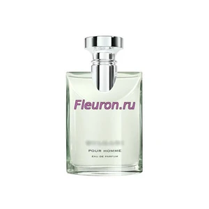 Отдушка Pour Homme Eau De Parfum 2024 год арт1596M