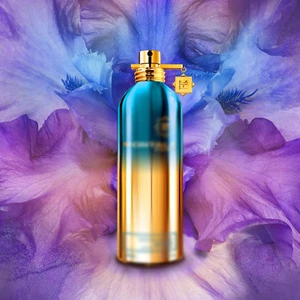 Отдушка So Iris Intense арт301W/M