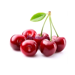 Отдушка Вишня арт1173