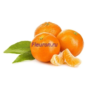 Отдушка Мандарин арт1176