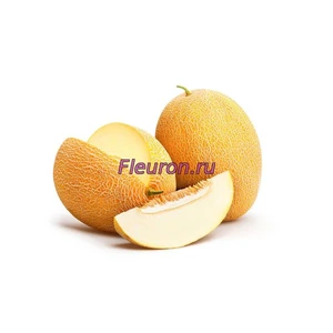 Отдушка Дыня арт1177