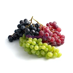 Отдушка Виноград арт1178