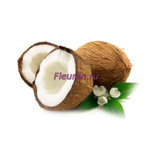 Отдушка Кокос арт3360