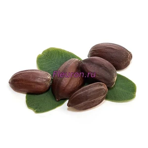 Отдушка Жожоба арт3422