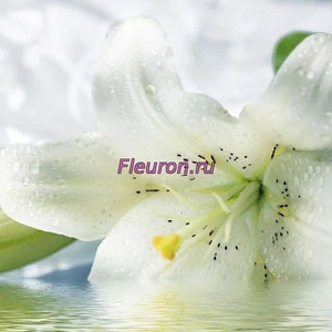 Отдушка Лилия арт3585