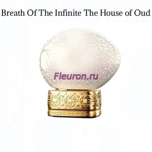 Отдушка Breath Of The Infinite арт5818W/M