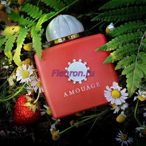 Отдушка Bracken Woman арт373W