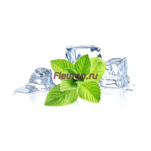 Отдушка Мятная свежесть (Menthe Fraiche) арт390