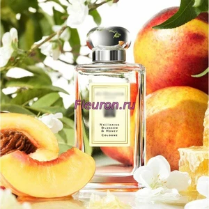 Отдушка Nectarine Blossom Honey арт461W/M