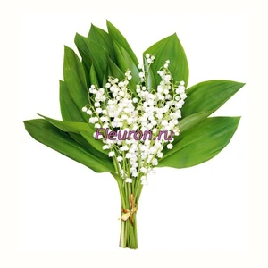 Отдушка Ландыш майский арт1172