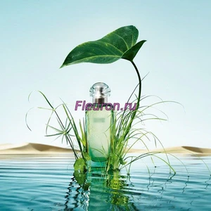 Отдушка Un jardin sur le Nil арт1466W/M