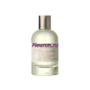 Отдушка Coriandre 39 Mexico арт1743W/M