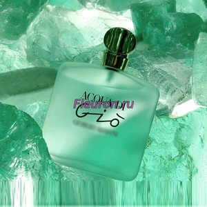 Отдушка Acqua di Gio арт1856W