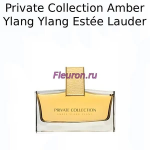 Отдушка Private Collection Amber Ylang Ylang арт1892W