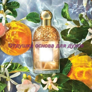 Отдушка Aqua Allegoria Orange Soleia арт3003W/M