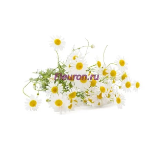 Отдушка Ромашка арт3365