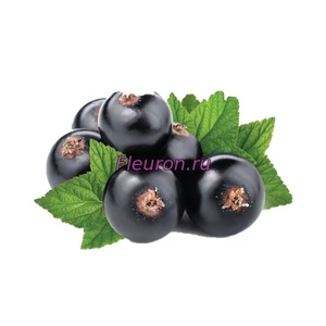Отдушка Листья черной смородины арт3412