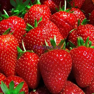 Отдушка Клубника арт3424