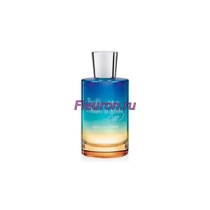 Отдушка Vanilla Vibes арт3531W/M