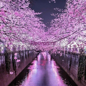 Отдушка Сакура арт3592