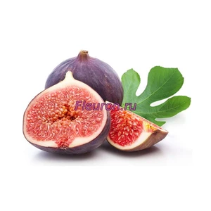 Отдушка Инжир арт3597