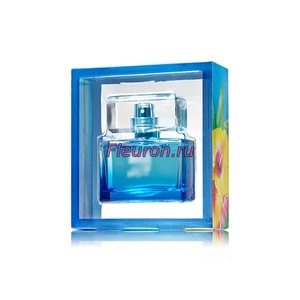 Отдушка Maui Mango Surf арт3733W